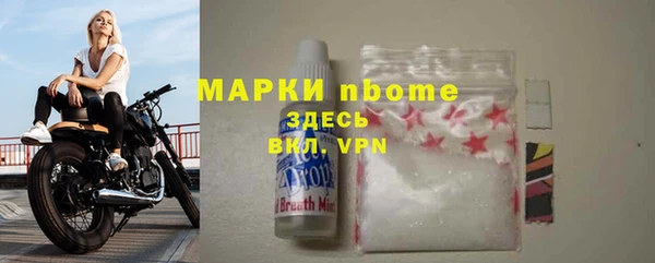 мет Алексин