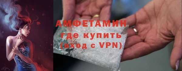 мет Алексин