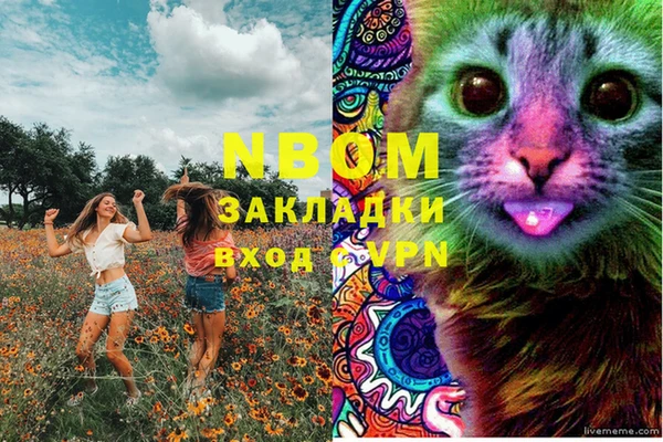 мет Алексин