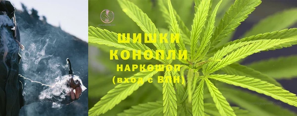 гашик Алзамай