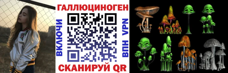 Псилоцибиновые грибы Psilocybe  Купить закладки  Весьегонск 